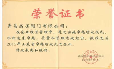 山东省卓越绩效先进企业