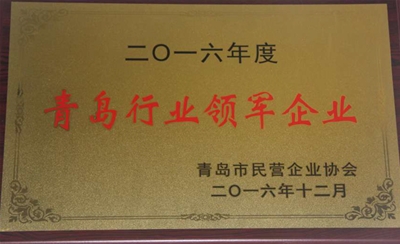 2016青岛行业领军企业