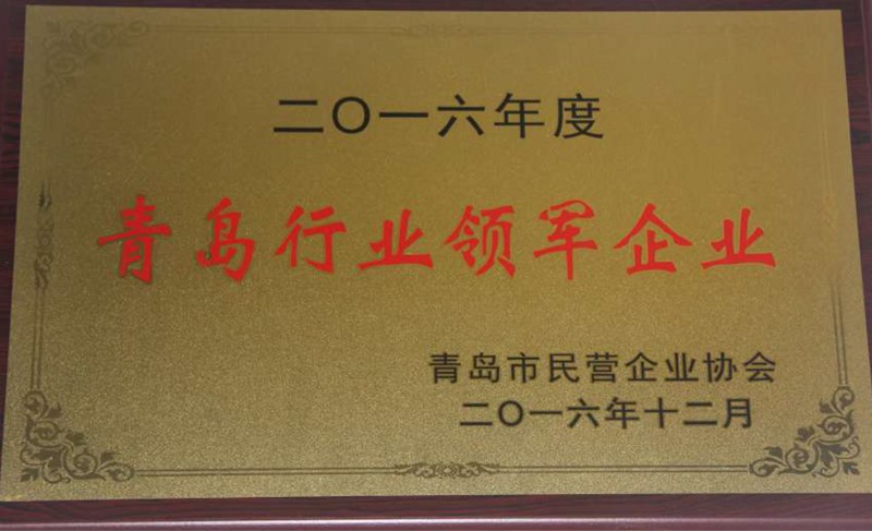 2016青岛行业领军企业