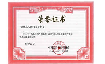 低温闸阀创新成果奖
