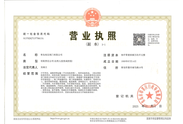 Business License