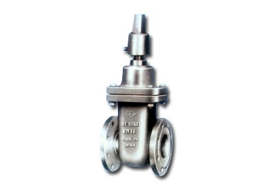 CAST IRON VALVE